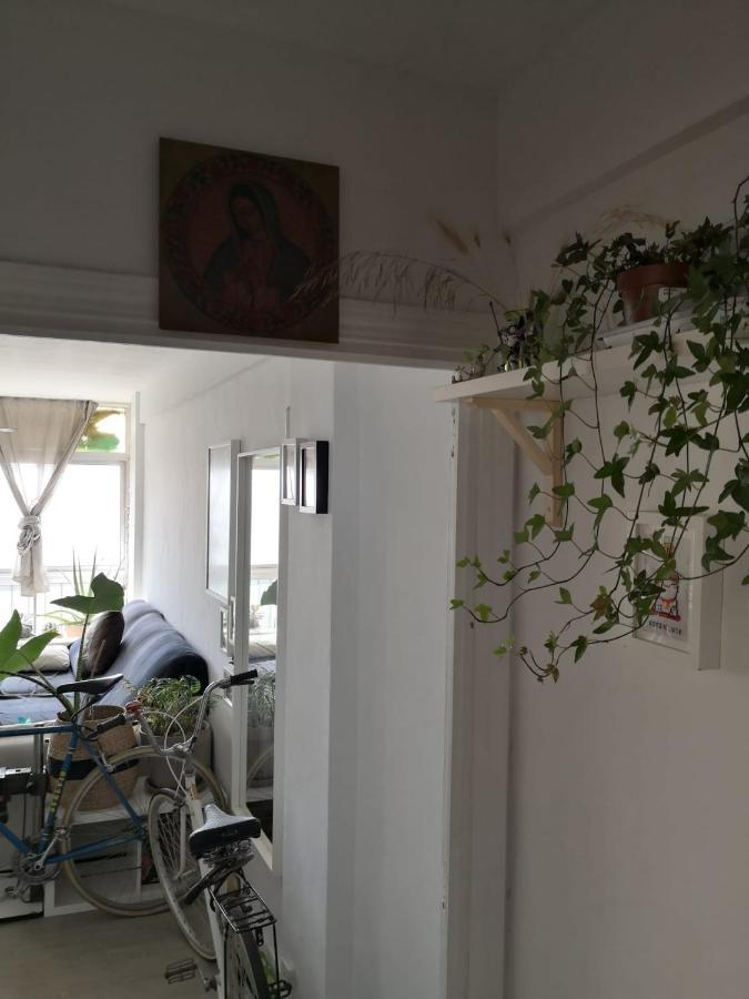 Apartmán My Quiet House Màlaga Exteriér fotografie