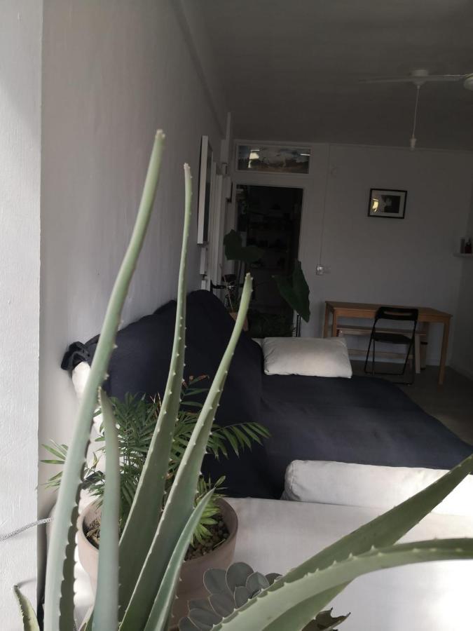 Apartmán My Quiet House Màlaga Exteriér fotografie